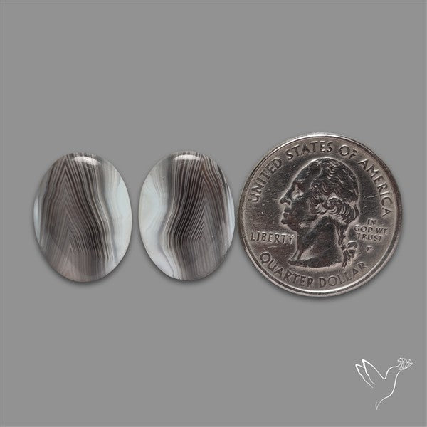 Botswana Agate Pair
