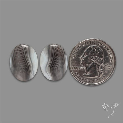 Botswana Agate Pair