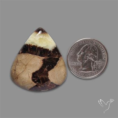 Yellow Septarian Cabochon