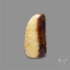 Yellow Septarian Cabochon