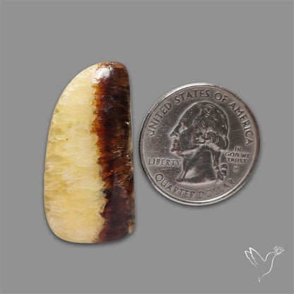 Yellow Septarian Cabochon