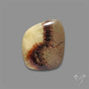 Yellow Septarian Cabochon