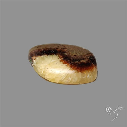 Yellow Septarian Cabochon