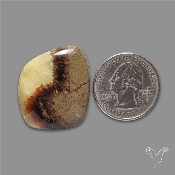 Yellow Septarian Cabochon