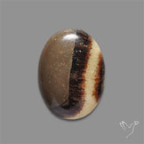 Yellow Septarian Cabochon