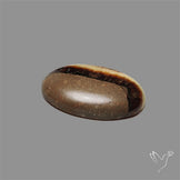 Yellow Septarian Cabochon