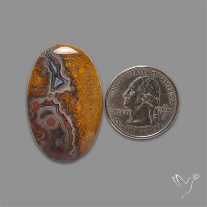 Crazylace Agate Cabochon
