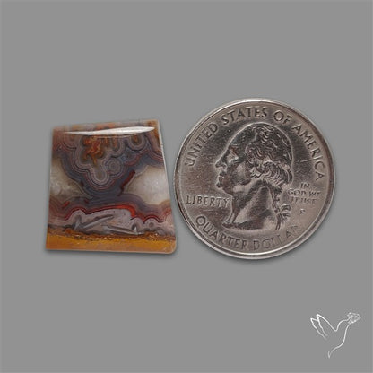 Crazylace Agate Cabochon