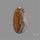 Crazylace Agate Cabochon
