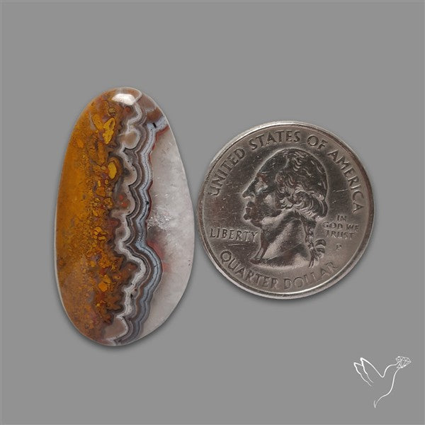Crazylace Agate Cabochon
