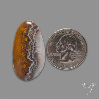 Crazylace Agate Cabochon