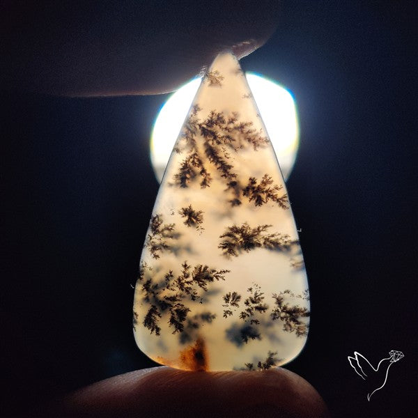 Russian Dendritic Agate Cabochon