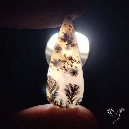 Russian Dendritic Agate Cabochon
