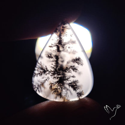 Russian Dendritic Agate Cabochon