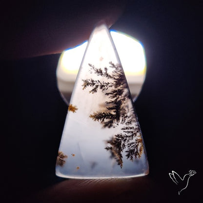 Russian Dendritic Agate Cabochon