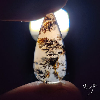 Russian Dendritic Agate Cabochon