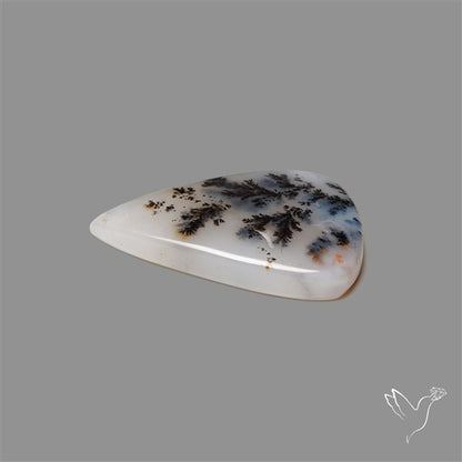 Russian Dendritic Agate Cabochon