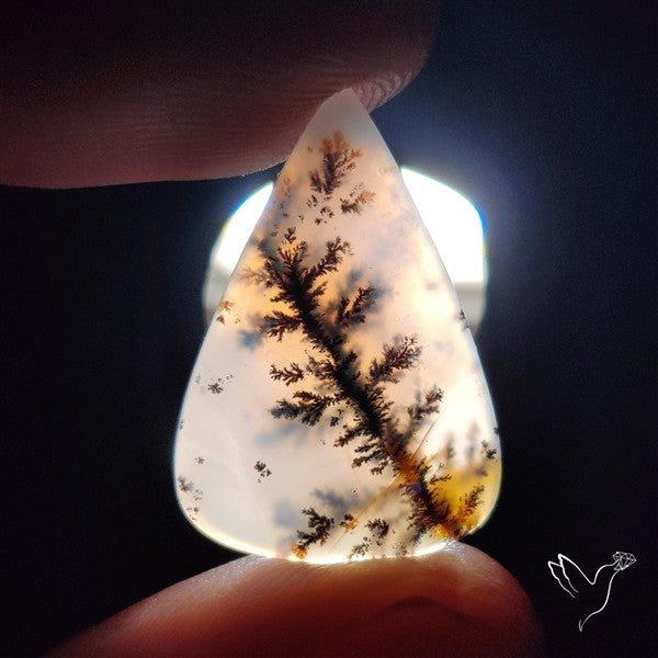 Russian Dendritic Agate Cabochon