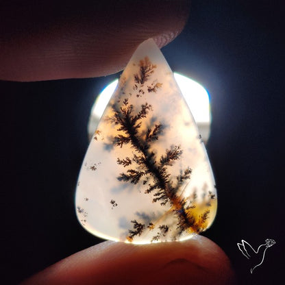 Russian Dendritic Agate Cabochon