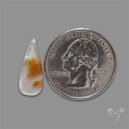 Russian Dendritic Agate Cabochon