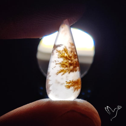 Russian Dendritic Agate Cabochon