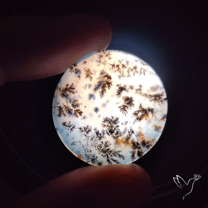 Russian Dendritic Agate Cabochon