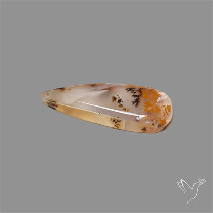 Russian Dendritic Agate Cabochon