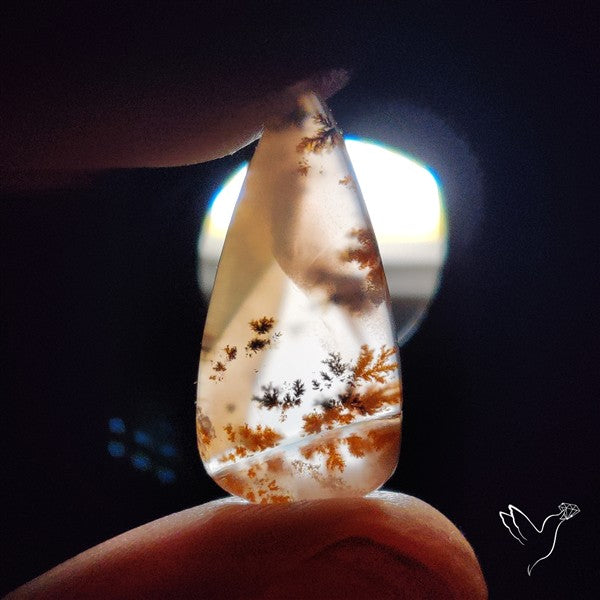Russian Dendritic Agate Cabochon