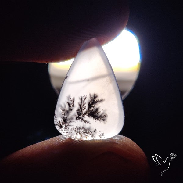 Russian Dendritic Agate Cabochon