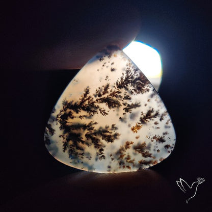 Russian Dendritic Agate Cabochon