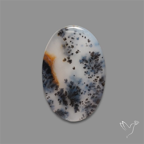 Russian Dendritic Agate Cabochon