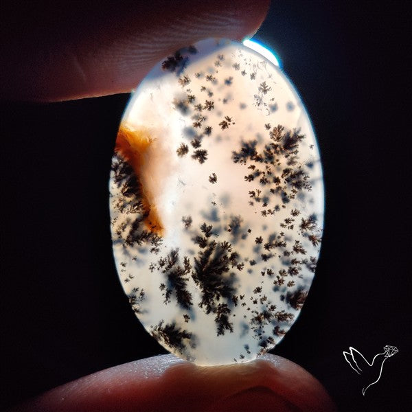 Russian Dendritic Agate Cabochon