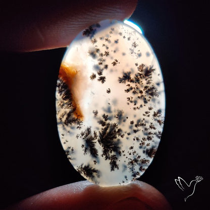Russian Dendritic Agate Cabochon
