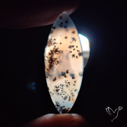 Russian Dendritic Agate Cabochon