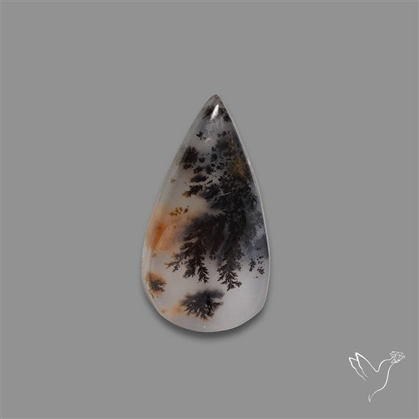 Russian Dendritic Agate Cabochon