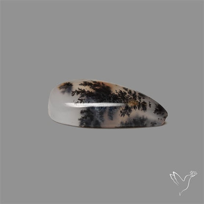 Russian Dendritic Agate Cabochon