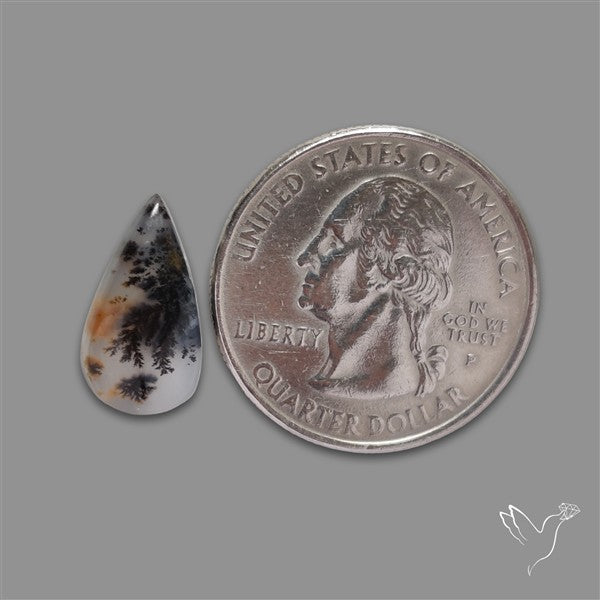 Russian Dendritic Agate Cabochon