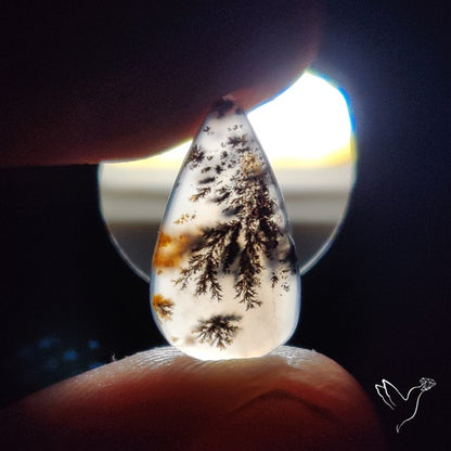 Russian Dendritic Agate Cabochon