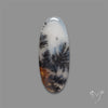 Russian Dendritic Agate Cabochon