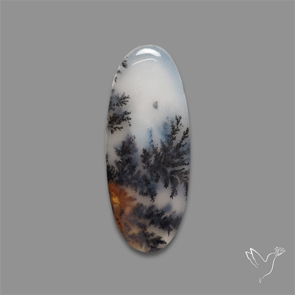 Russian Dendritic Agate Cabochon
