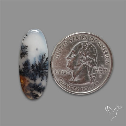 Russian Dendritic Agate Cabochon