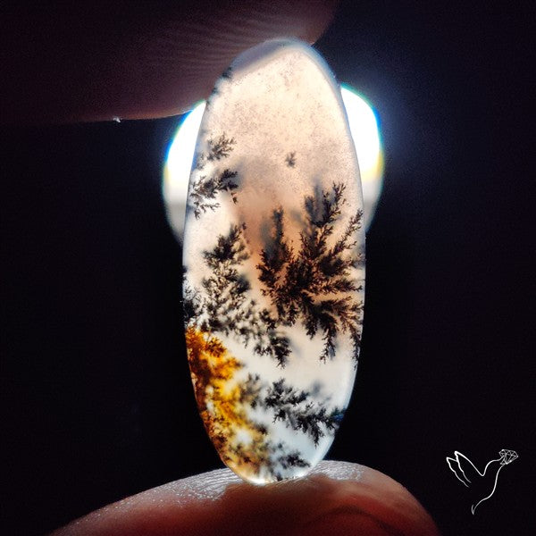 Russian Dendritic Agate Cabochon