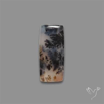 Russian Dendritic Agate Cabochon