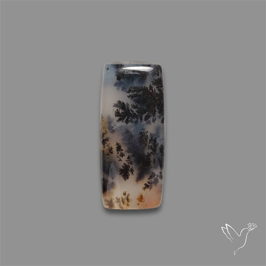 Russian Dendritic Agate Cabochon