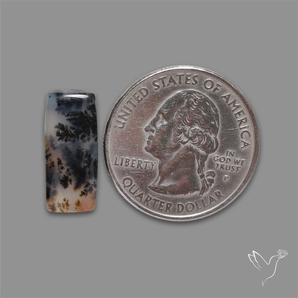 Russian Dendritic Agate Cabochon
