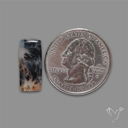 Russian Dendritic Agate Cabochon