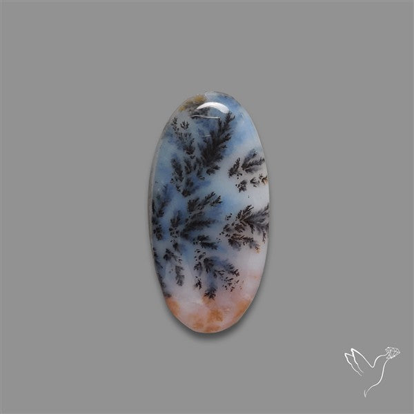 Russian Dendritic Agate Cabochon
