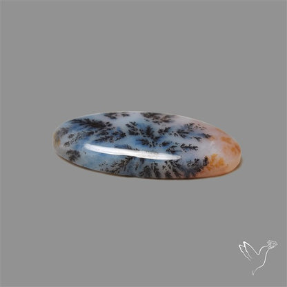 Russian Dendritic Agate Cabochon