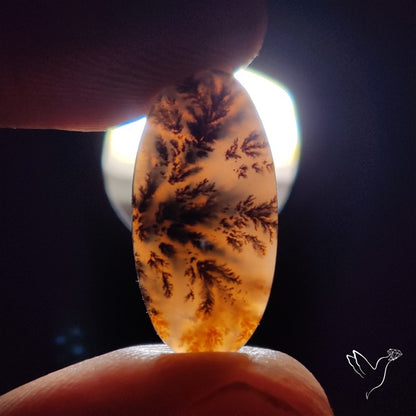 Russian Dendritic Agate Cabochon
