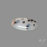 Russian Dendritic Agate Cabochon